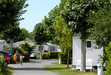 Alley of the campsite in Saint-Hilaire-de-Riez with its mobile home rentals