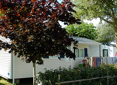Bäume vor einem Mietmobilheim auf dem Campingplatz in Saint-Hilaire-de-Riez