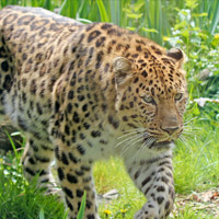 Zoo des Sables d'Olonne