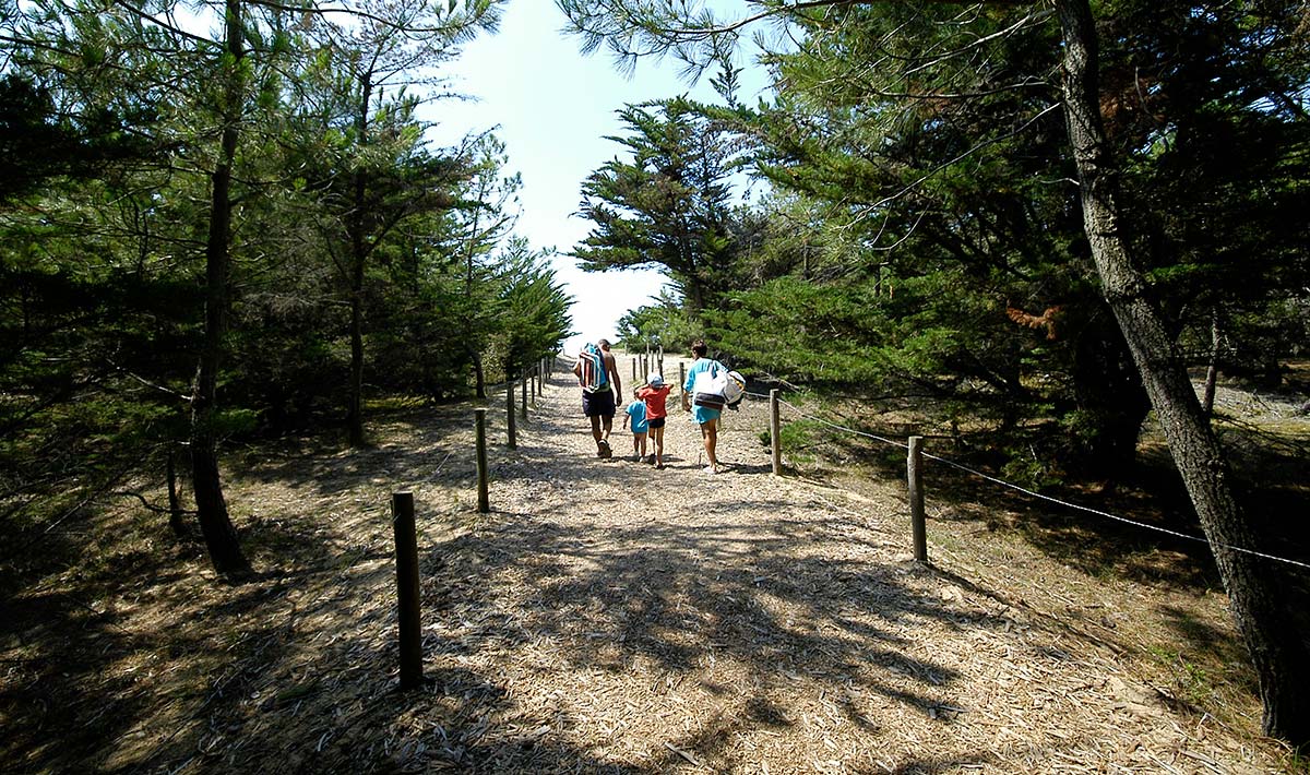 Zandpad onder de bomen naar het strand bij de camping in Vendée