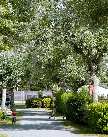 Children playing on a shady alley in the park of Les Écureuils campsite in Vendée