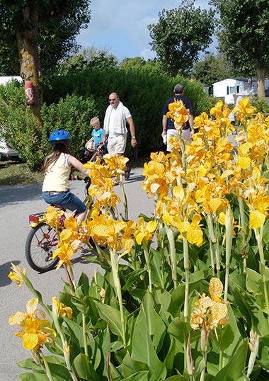 Flowers on an alley of Les Écureuils campsite in Vendée near Saint-Jean-de-Monts