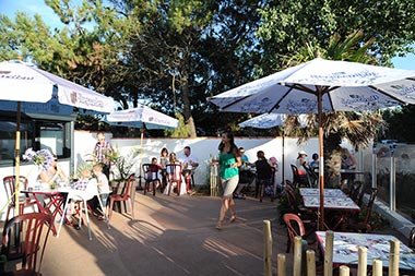 Terrasse sous un grand arbre et parasol au restaurant du camping à Saint-Hilaire-de-Riez