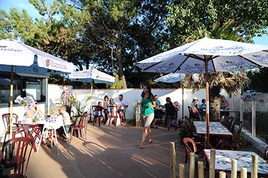 Terrace under a large tree and parasol at the campsite restaurant in Saint-Hilaire-de-Riez