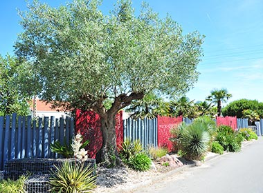 Landscaped path under the blue sky in Vendée at the campsite in Saint-Hilaire-de-Riez