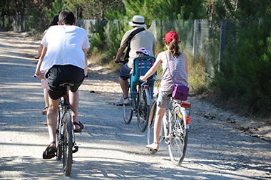 Cyclistes sur une piste cyclable en Vendée proche de Saint-Jean-de-Monts