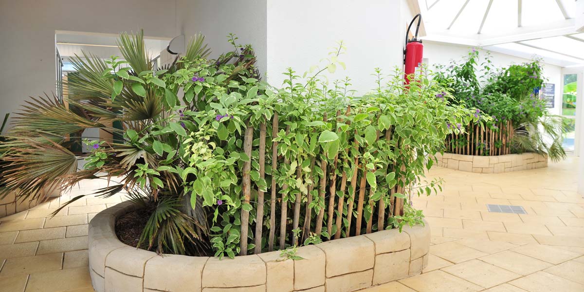 Entrée du bloc sanitaire avec plantes décoratives au camping Les Écureuils