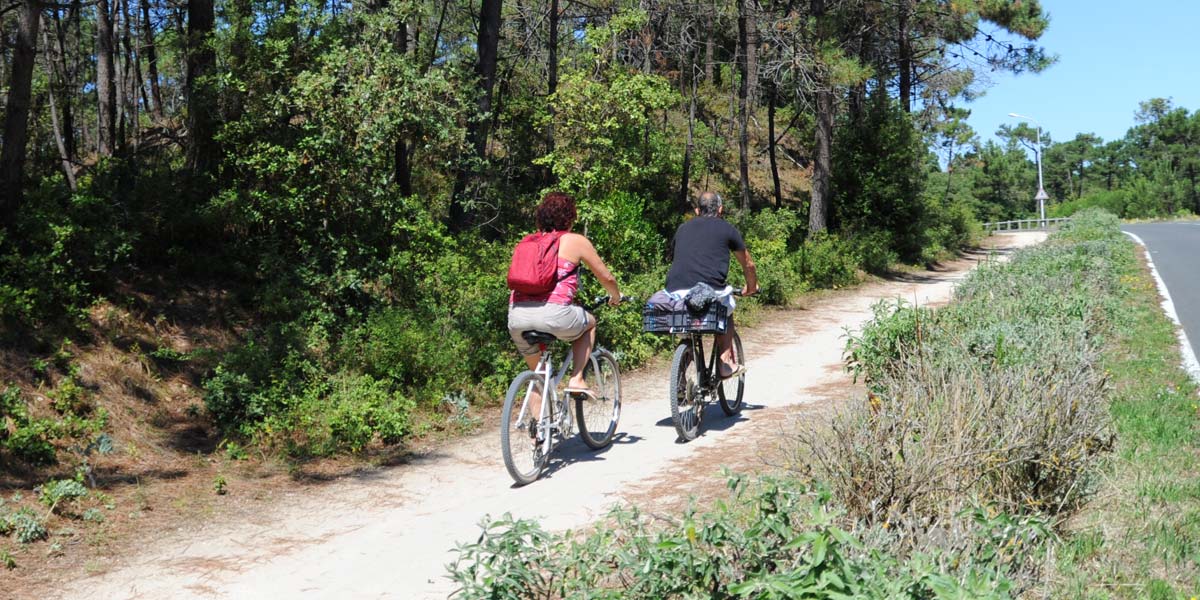 Cycle path towards the vors de mer in Saint-Hilaire-de-Riez